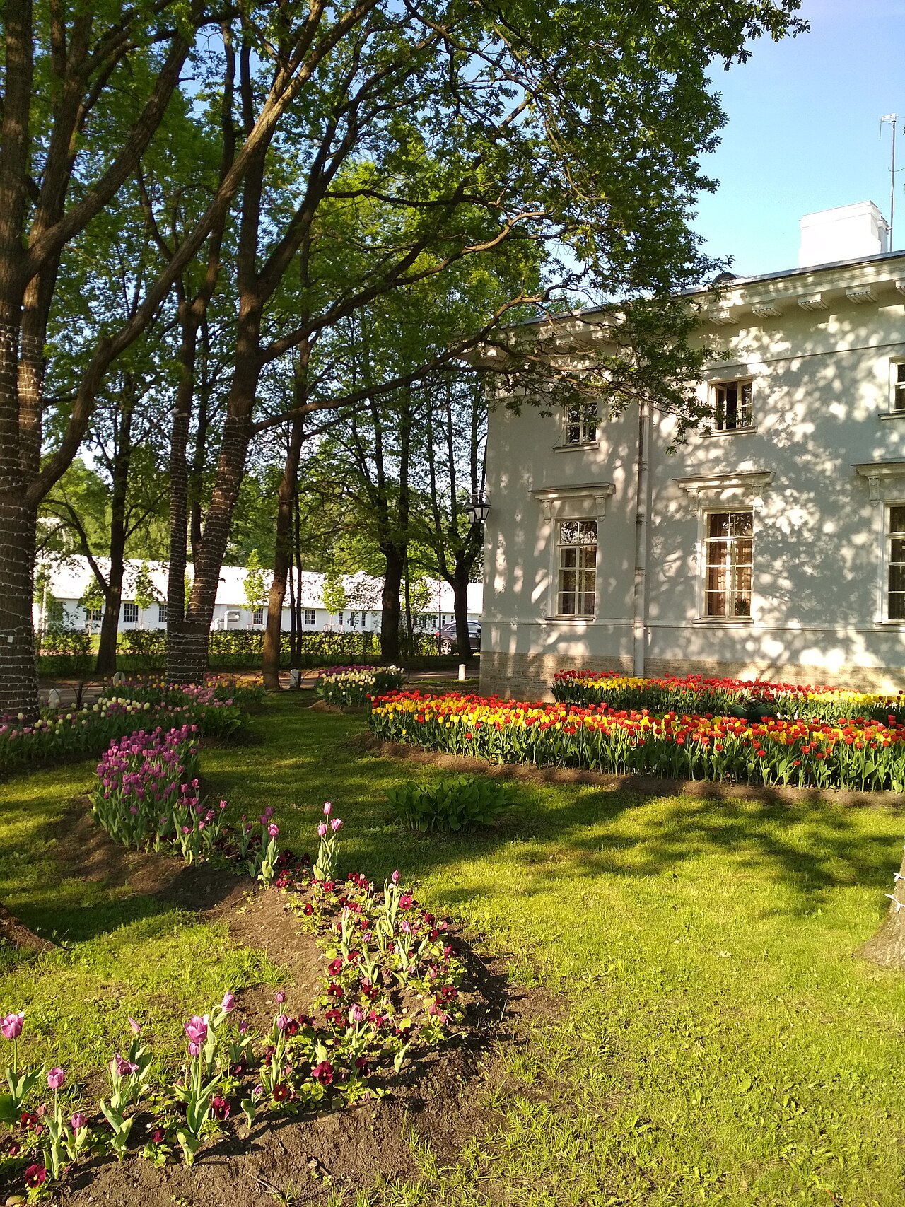 Цпкио имени С. М. Кирова, Музей художественного стекла