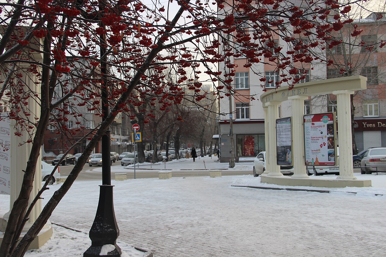Городская усадьба Ново-Николаевска